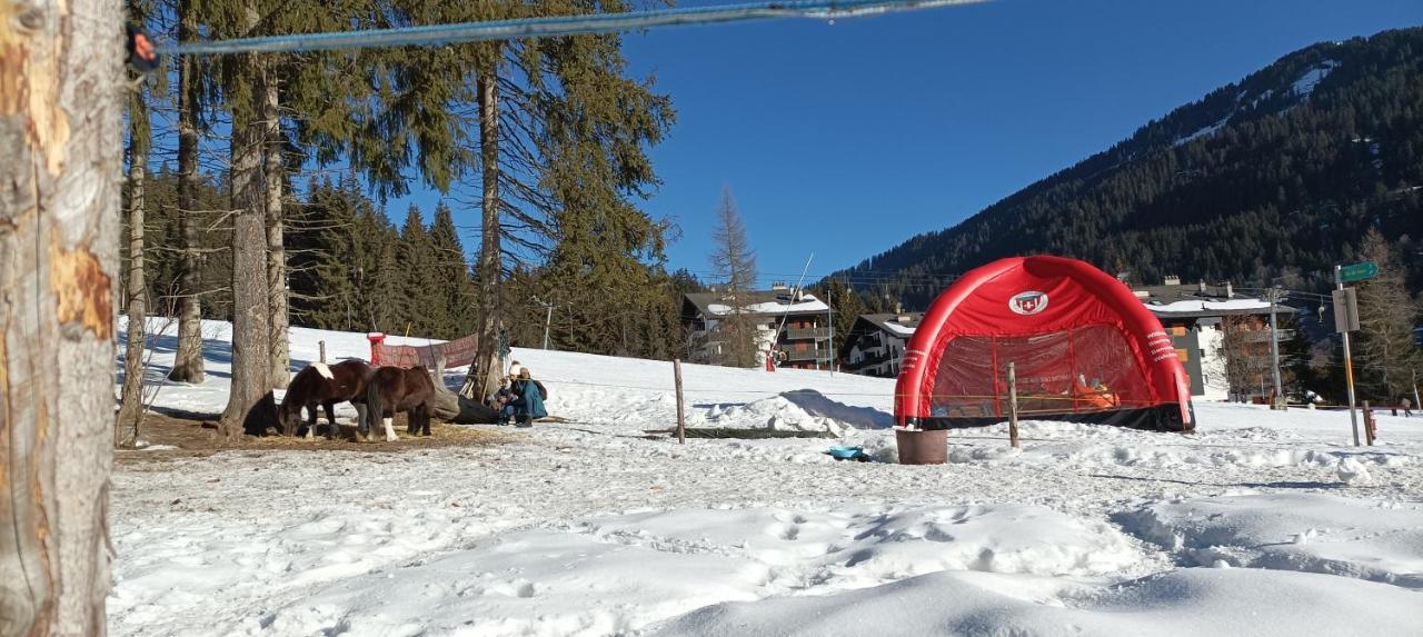 Studio Appartement Avec Piscine, Ski Porte Du Soleil Morgins, Ps3 Games, Wash & Bring Sheets Екстериор снимка